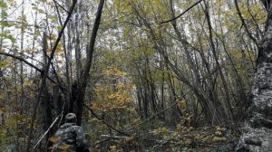 охота +на рябчика как правильно манить !