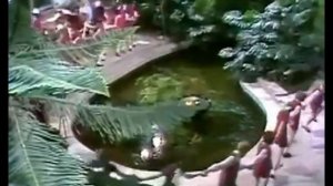 Большой детский хор- Антошка