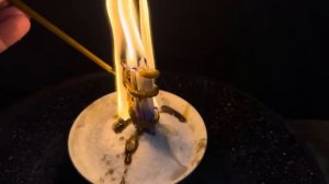 ?❤️? ИСПОЛНЕНИЯ ЛЮБОГО ВАШЕГО ЖЕЛАНИЯ ? Загадай свое Желание ??