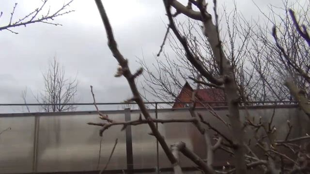 ВЕСЕННЯЯ ОБРАБОТКА САДА в конце апреля.  ТЕХНИКА ОБРАБОТКИ деревьев. ЧЕМ и КАК  КАК ПРАВИЛЬНО