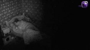 Охотники за привидениями. Видео. Выпуск 169