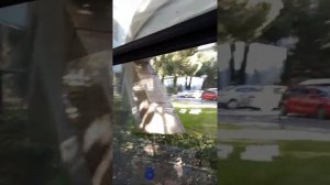 Отель Лимак Атлантис. Турция, Белек. Конец октября.