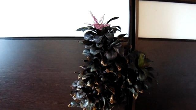 Как цветут пальмы. смотреть онлайн