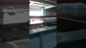 УЗВ осетр, форель.