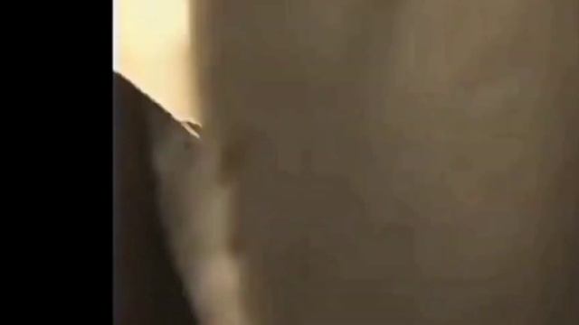 Крыса-чубайс сбежала с тонущего вовиного корабля! Внимание не плюйте на экраны на них чубайс... смотреть онлайн