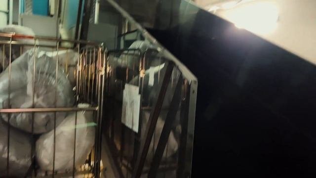 Аудит прачечной /// Что случилось с Олимпийской прачечной за 10 лет? Отвечает Ушнурцев Константин