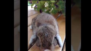 мальчик🐰др. 07.07.24