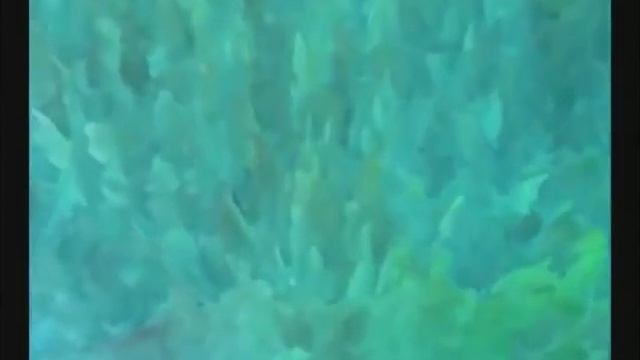 Шопен Вальс № 10 смотреть онлайн