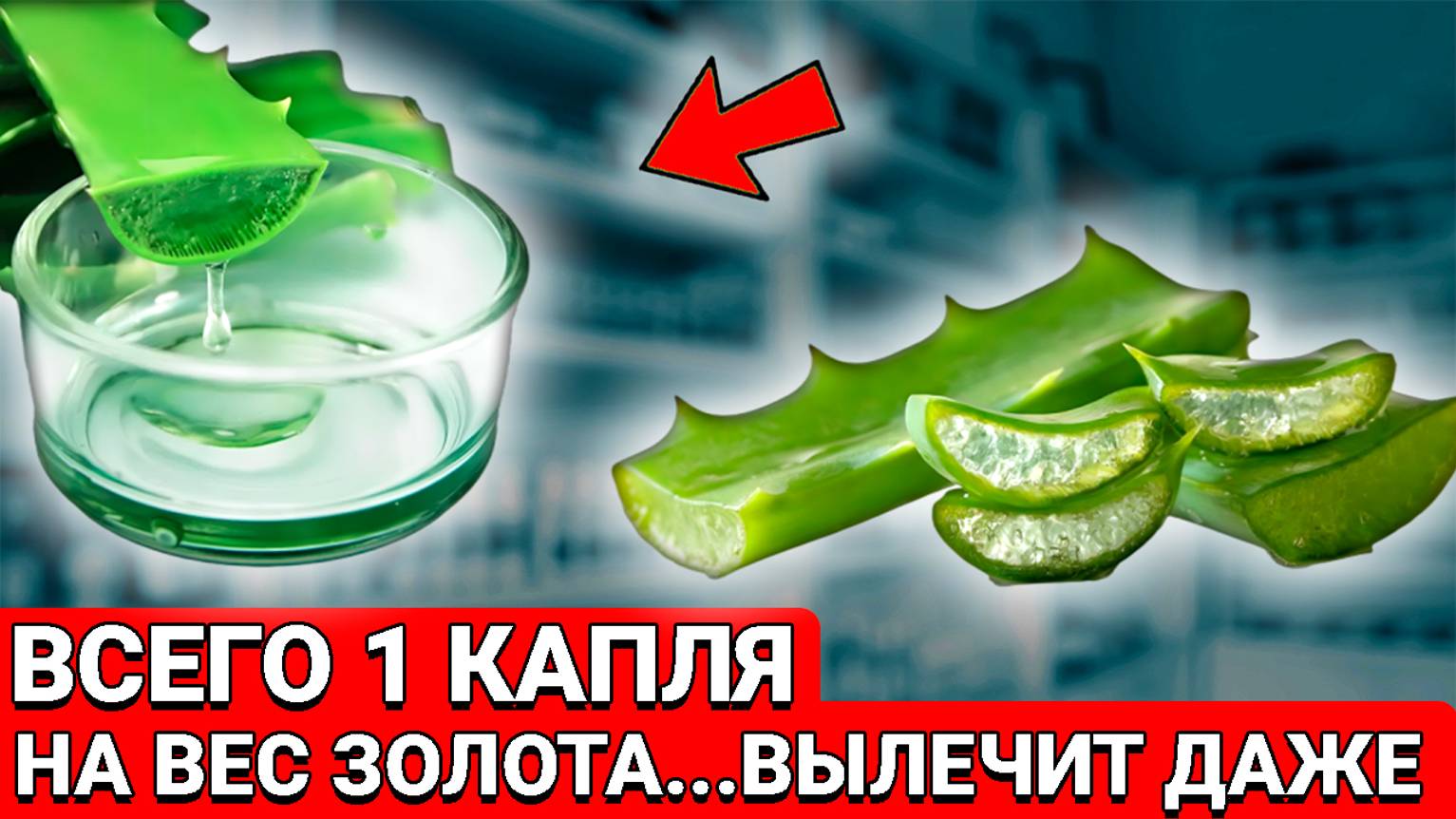 Всего одна капля натворит С ВАШИМ ОРГАНИЗМОМ ТАКОЕ...! Беру АЛОЭ и смешиваю...... смотреть онлайн