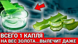 Всего одна капля натворит С ВАШИМ ОРГАНИЗМОМ ТАКОЕ...! Беру АЛОЭ и смешиваю......