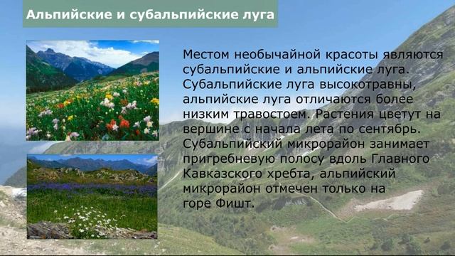 Памятники природы Большого Сочи. Часть 1.