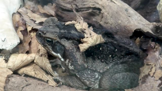 Приморский Океанариум ( Сентябрь 2023 ) смотреть онлайн