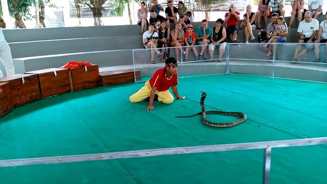 Вьетнам 13ч. (Ня Чанг) "Змеиное шоу "(2) смотреть онлайн