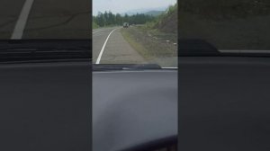 Дорога Хабаровск-Ванино