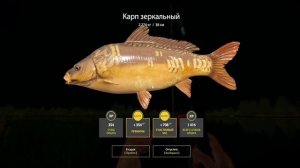 КЛЕВ КАК ИЗ ПУЛЕМЕТА. ОТЛИЧНАЯ ТОЧКА НА ЯНТАРНО ОЗЕРЕ В РУССКОЙ РЫБАЛКЕ 4 РР4