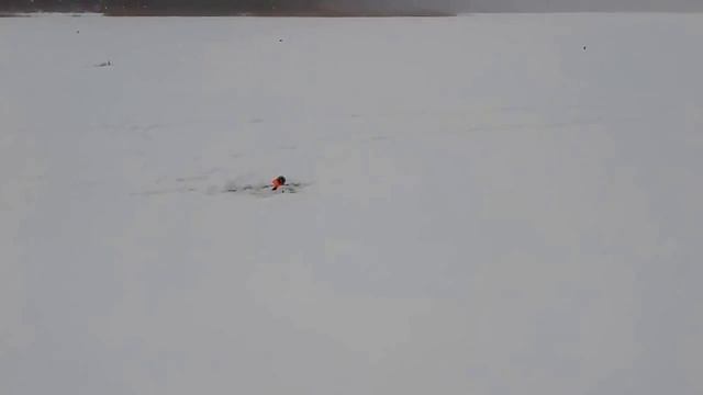 Истринский район речка Чернушка.Пробуем ловить на 3х метрах. смотреть онлайн