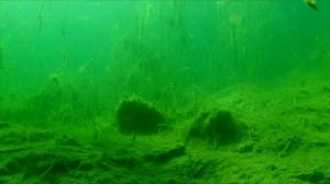 Как продлить срок службы выгребной ямы.