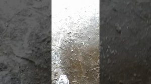 |почему не заводится мопед, скутер| skif-stels