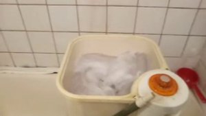 стиральная машинка фея м