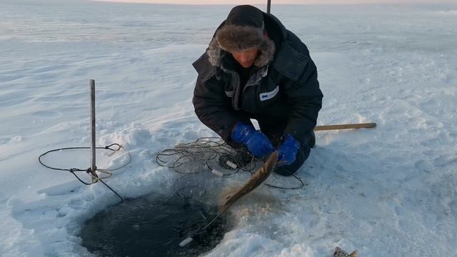 Проверка сети на озере!!! смотреть онлайн