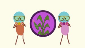 Go Bananas! _ Camp Song _ Scratch Garden
