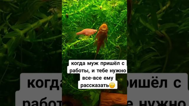 😅 смотреть онлайн