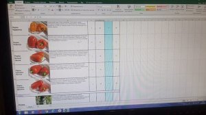 Семена почтой. Как заказать семена?