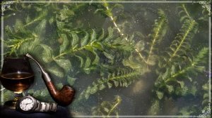 Я не хочу любить в размашку, я не хочу любить в разнос