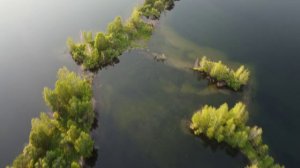 Тенга (июль 2024)