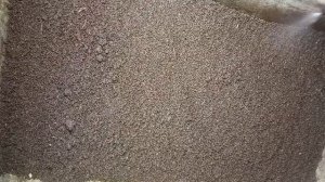 БН 28. Биогумус с коконами и червячками как разделить?