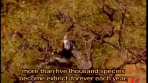 Будущее Космическое Сообщество