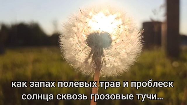 Никогда не жалейте ласковых слов… Озвучил Виктор Молчанов смотреть онлайн