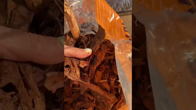 МУЛЬЧА ИЗ СОСНОВОЙ КОРЫ, КОРА СОСНОВАЯ, СРЕДНЯЯ ФРАКЦИЯ, СИТО 50ММ, МЕШОК 45Л