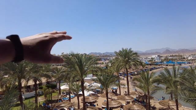 Lido Sharm Hotel. Обзор отеля
