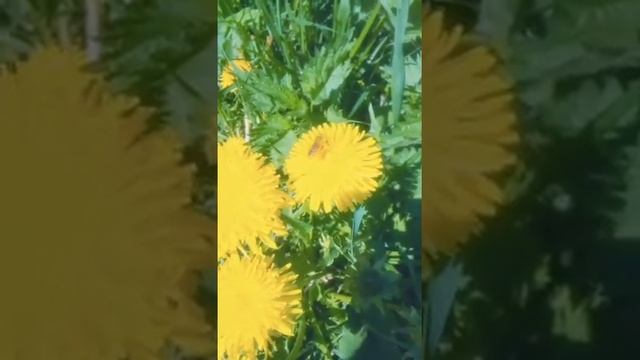 Дуа после намаза смотреть онлайн