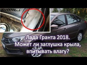 Лада Гранта Может ли заглушка крыла под капотом впитывать влагу