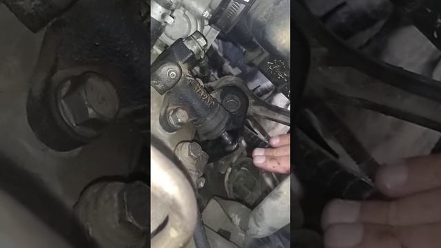 Chirping noise on Subaru Forester, quiets when pressing clutch pedal or fork [help]