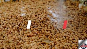 Как испечь постные блинчики с гречкой? | Простые постные блины