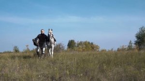 Наталья Закора - Рыцарь Солнца (official video) фолк-рок
