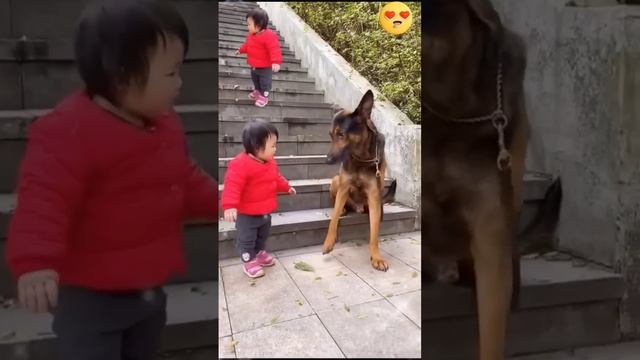 The Cutest Babysitter Ever! ???#cutebaby #dog