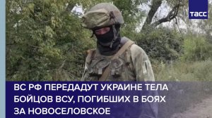 ВС РФ передадут Украине тела бойцов ВСУ, погибших в боях за Новоселовское