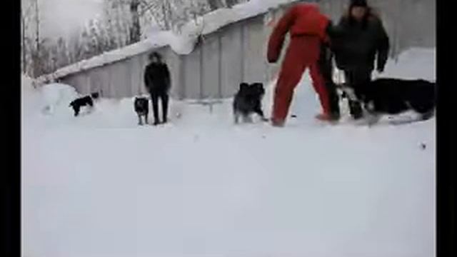 Банхар Баавгай и девчЕнки на тренировке по защите смотреть онлайн