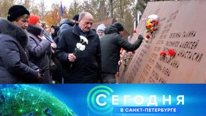 «Сегодня в Санкт-Петербурге»: 31 октября 2023 года