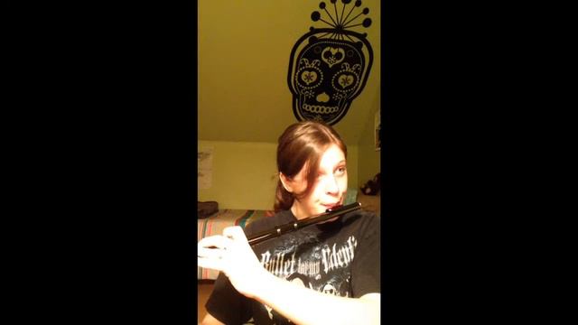 Pirates of the Caribbean~ The Medallion Calls and The Black Pearl (Flute Cover) смотреть онлайн