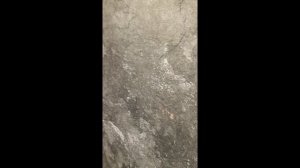 Porcelanosa Image Dark 33,3x100 Płytka Ścienna Glazura