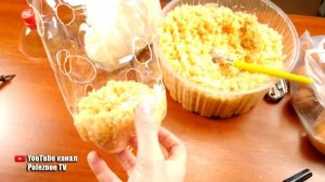 САМЫЙ ЛУЧШИЙ СПОСОБ ВЫРАЩИВАНИЯ ЛУКА НА ПЕРО БЕЗ ЗЕМЛИ