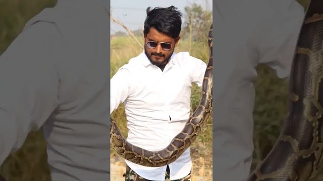 my first video on YouTube #viral #support #subscribe #python #snake #wildlife #reptiles