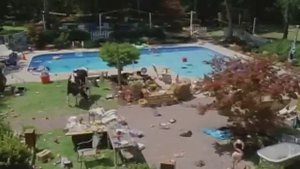 A Good Old Fashioned Orgy Movie review by Betsy Sharkey