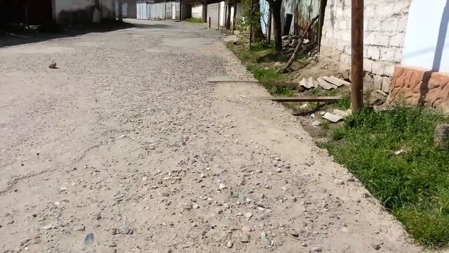 Ленинский Таджикистана от улицы 1Мая на канал (дюкер) к Универмагу смотреть онлайн