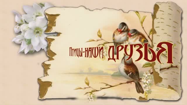 Птицы наши друзья.mp4 смотреть онлайн